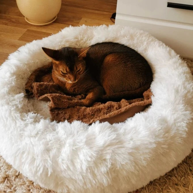 Comfy Calming Dog/Cat Bed