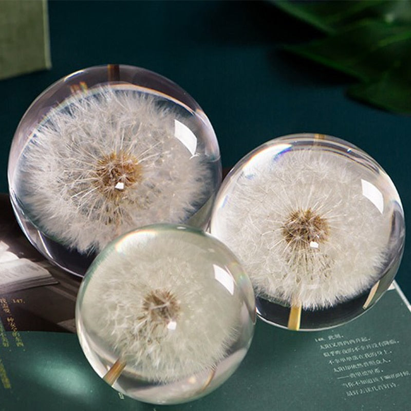 ArtZ® I See A Bright Future Dandelion Crystal Ball